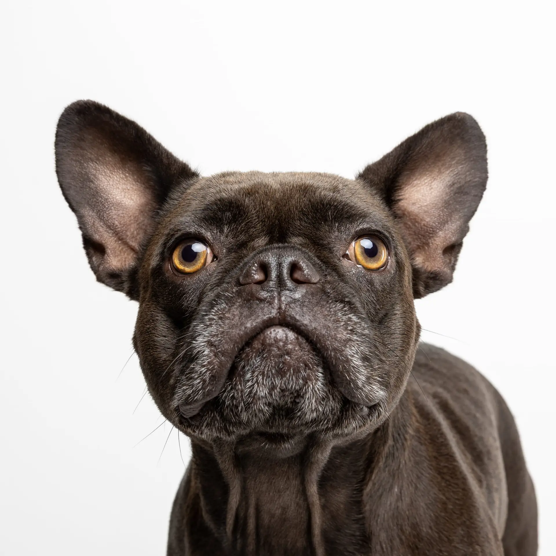 Sombre mirando hacia arriba